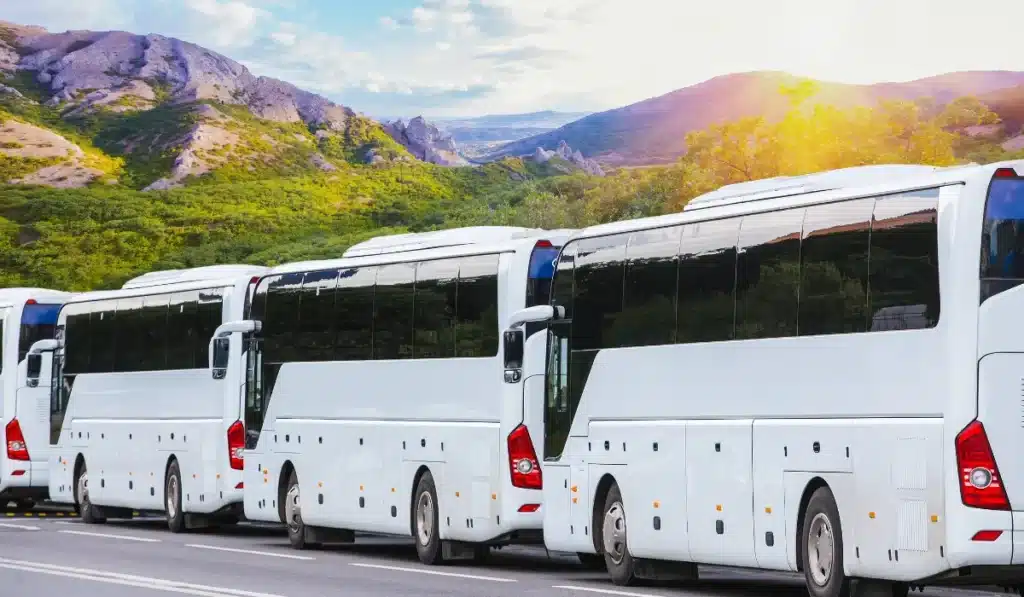 Profitable Business Ideas 3